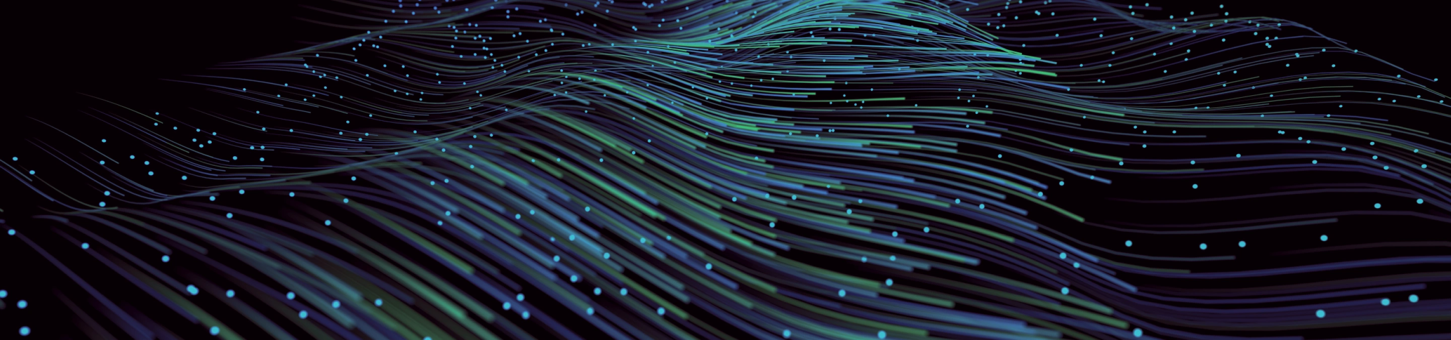 網站使用條款 / 網站隱私政策